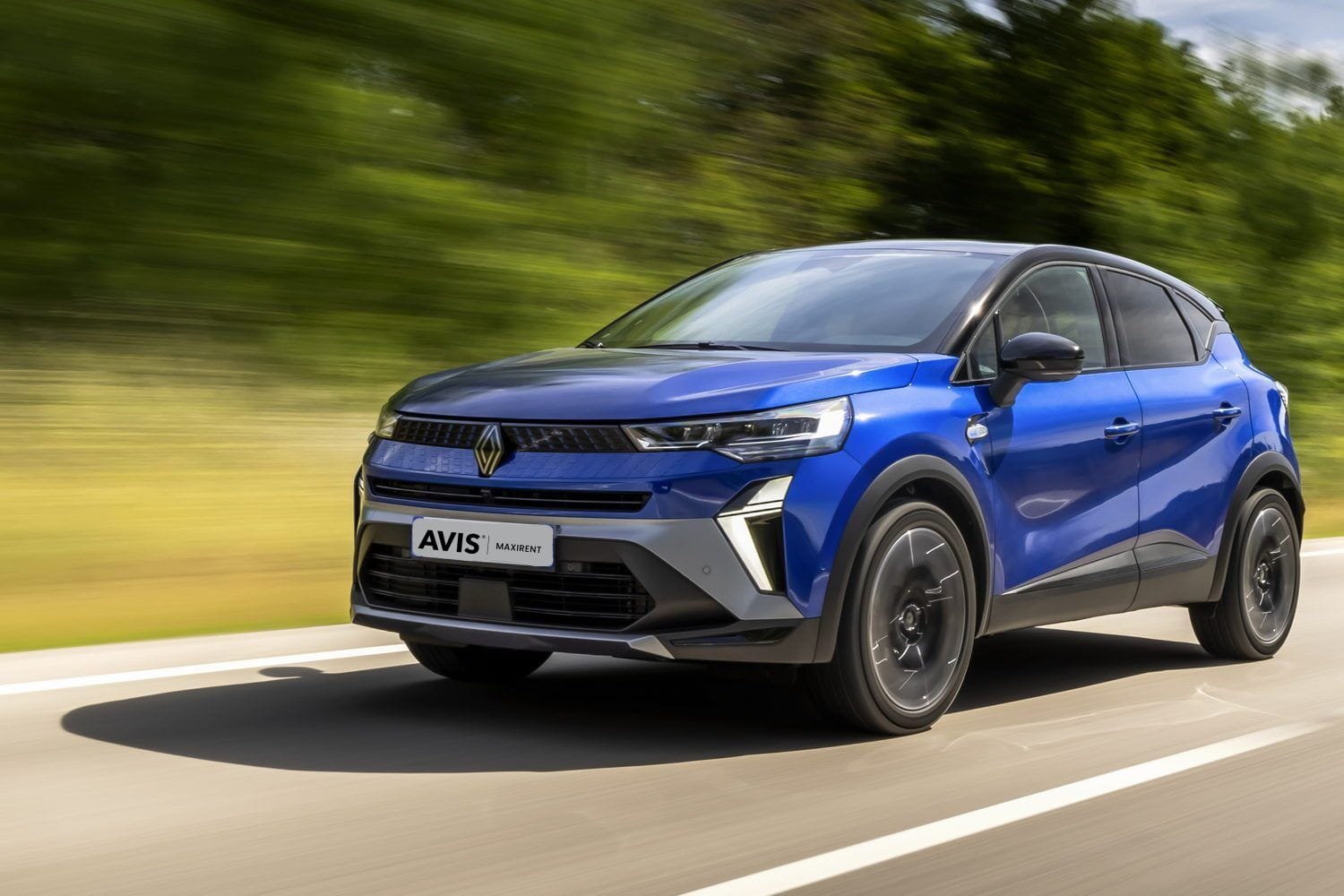 13372_large (6) (1).jpg